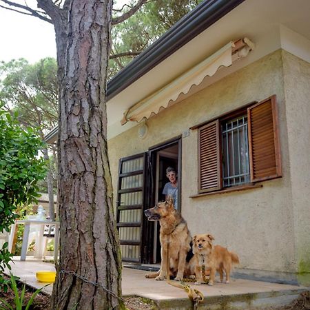Arco Bungalow Eraclea Mare Ngoại thất bức ảnh