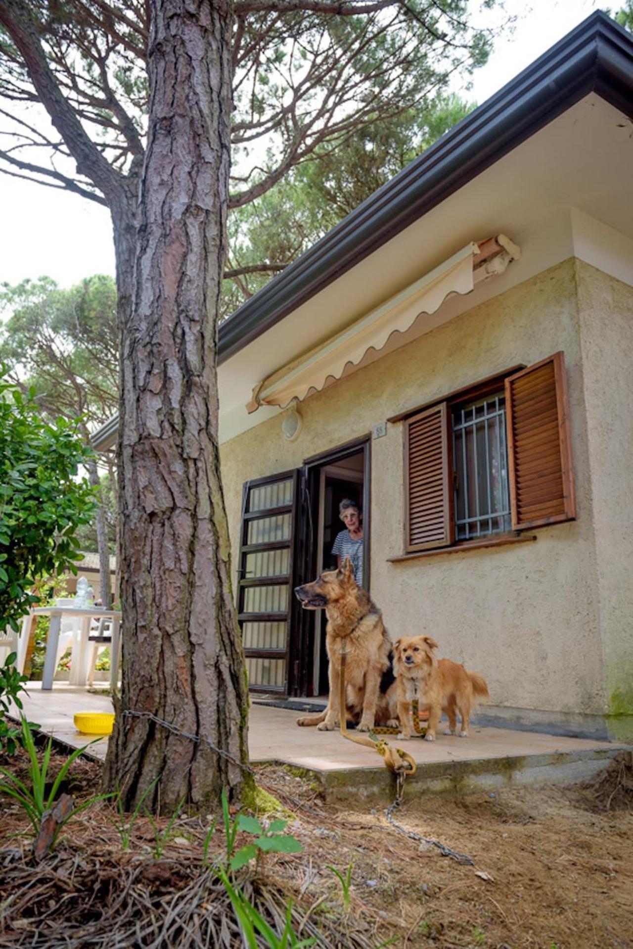 Arco Bungalow Eraclea Mare Ngoại thất bức ảnh